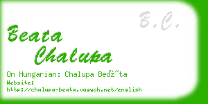 beata chalupa business card